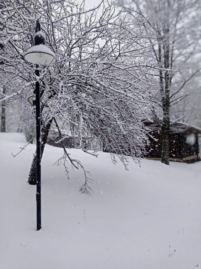 Villaggio Anemone - Chalet Castagno Capanne di Sillano Italy